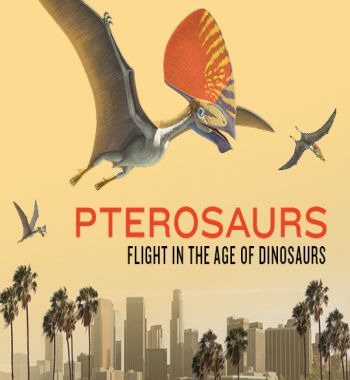 pterosaurs