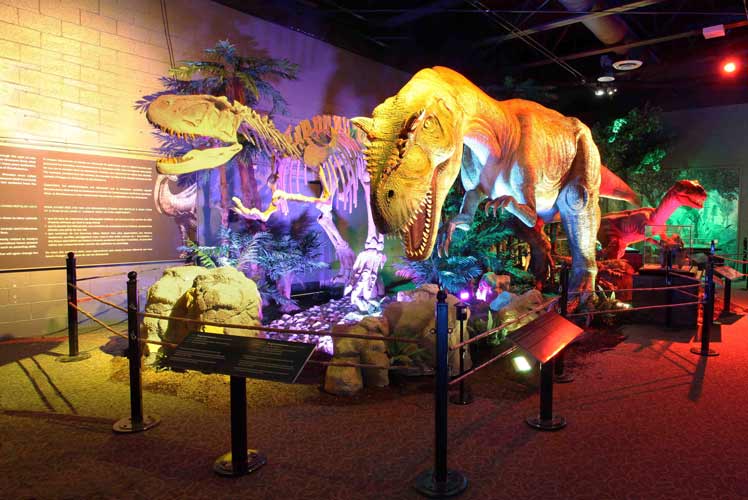 dinosaurs-unearthed-exhibit