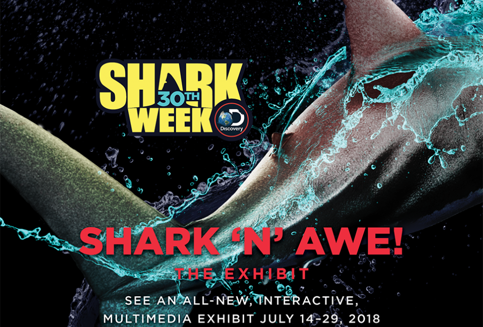 2018-paleyexhibit-sharkweek-30thanniv-feature-ss1